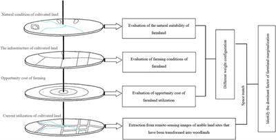 Risk Assessment and Regulation Strategy of Farmland Marginalization: A Case Study of Mengjin County, Henan Province